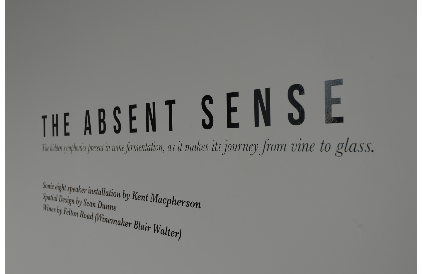 The Absent Sense, Ramp Gallery (2016)